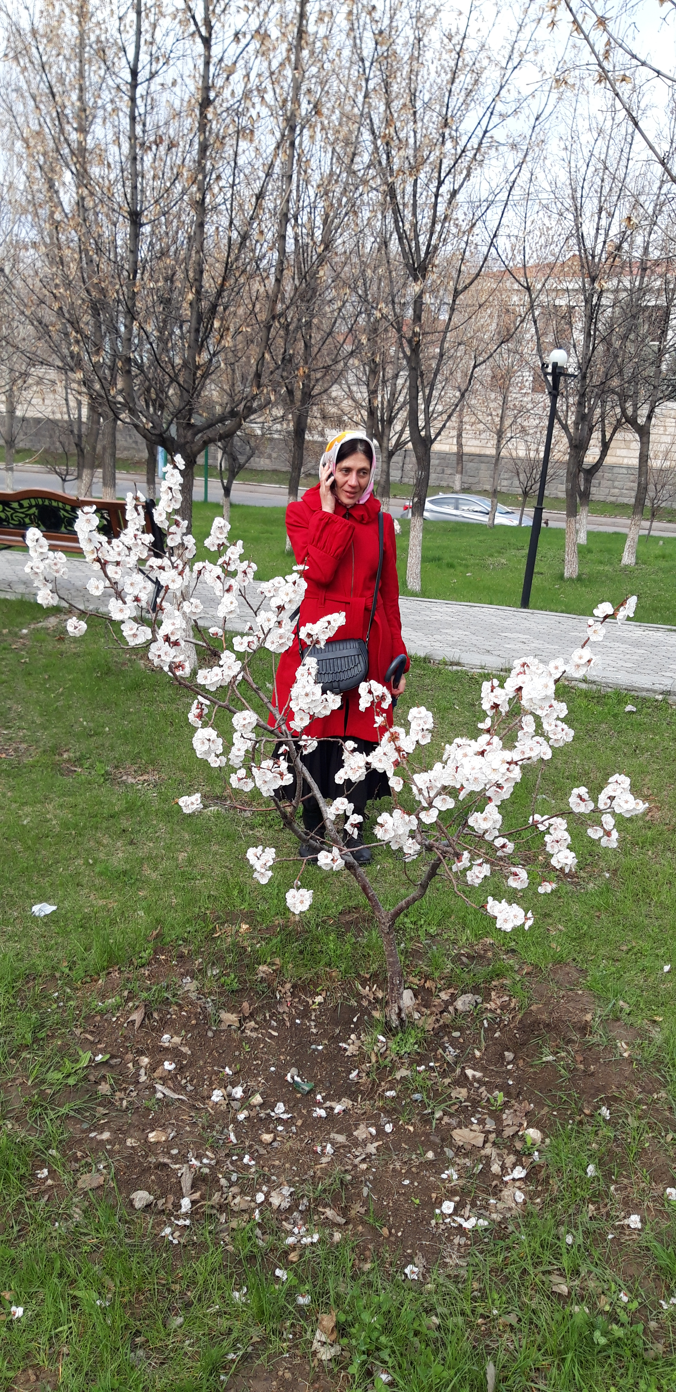 Հետգրություն. մի ծղրիդի համար