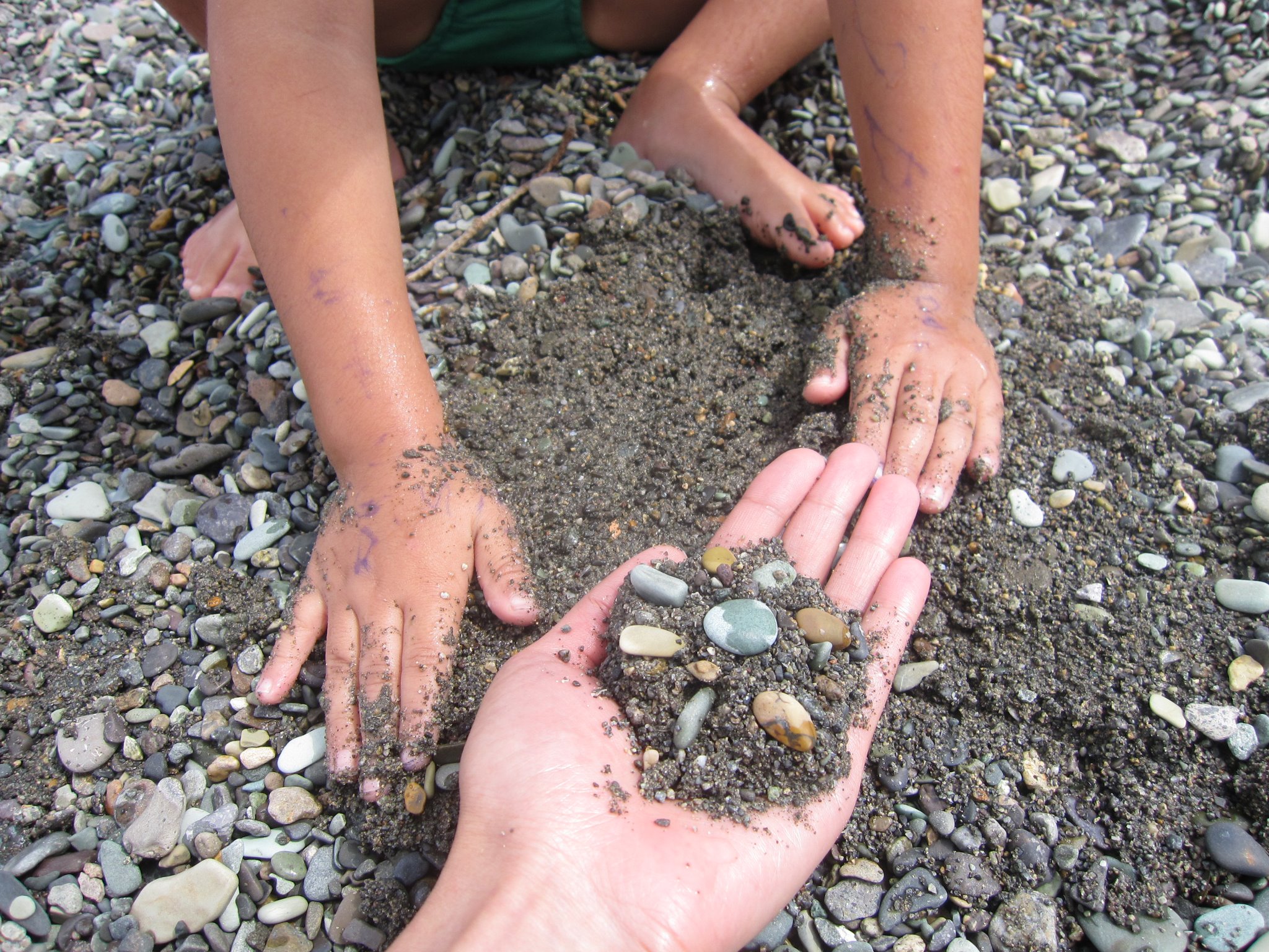 Նվարդ Հայթայան․ Շորժա