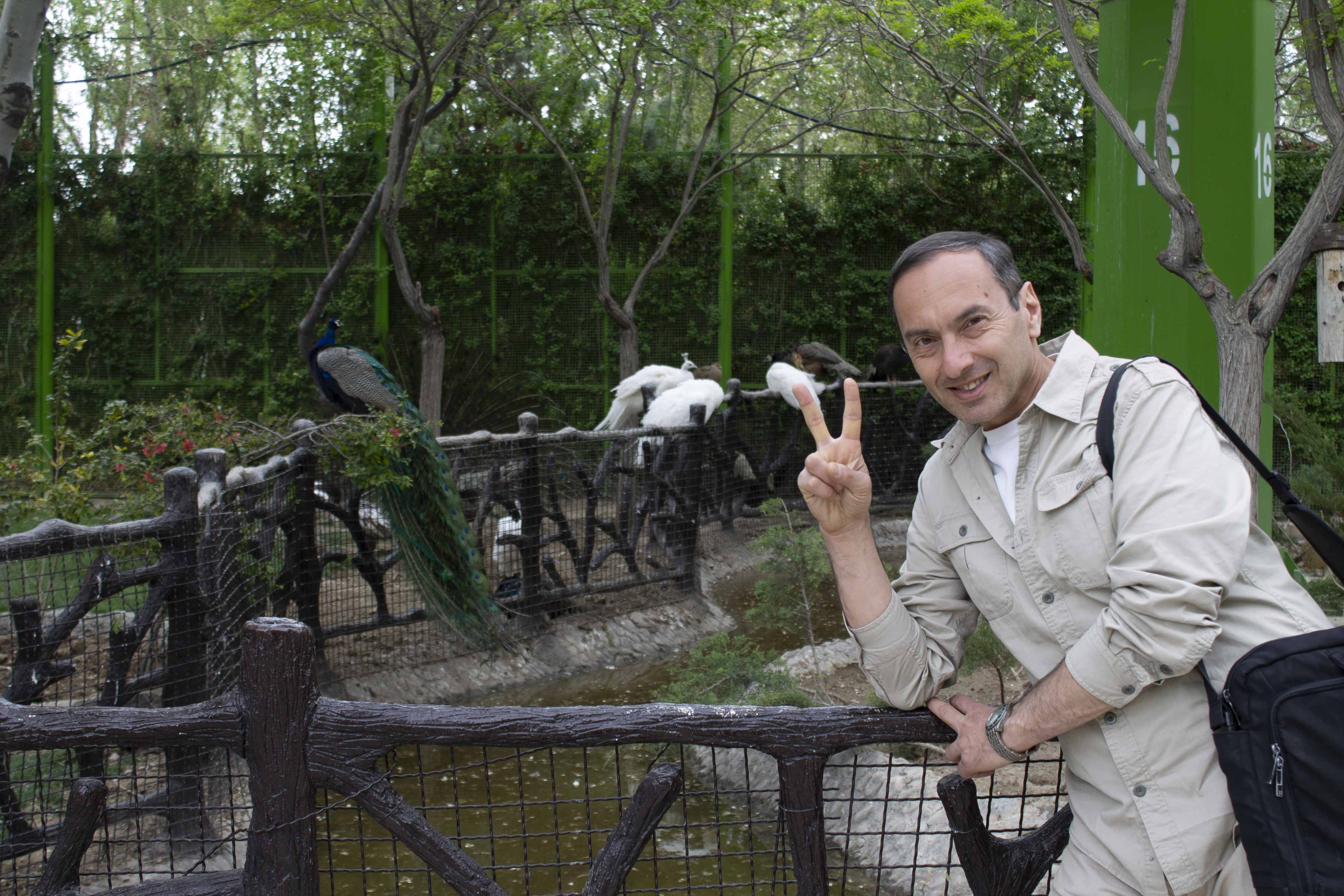 Չղջիկի արյուն ու օձի չալաղաջ