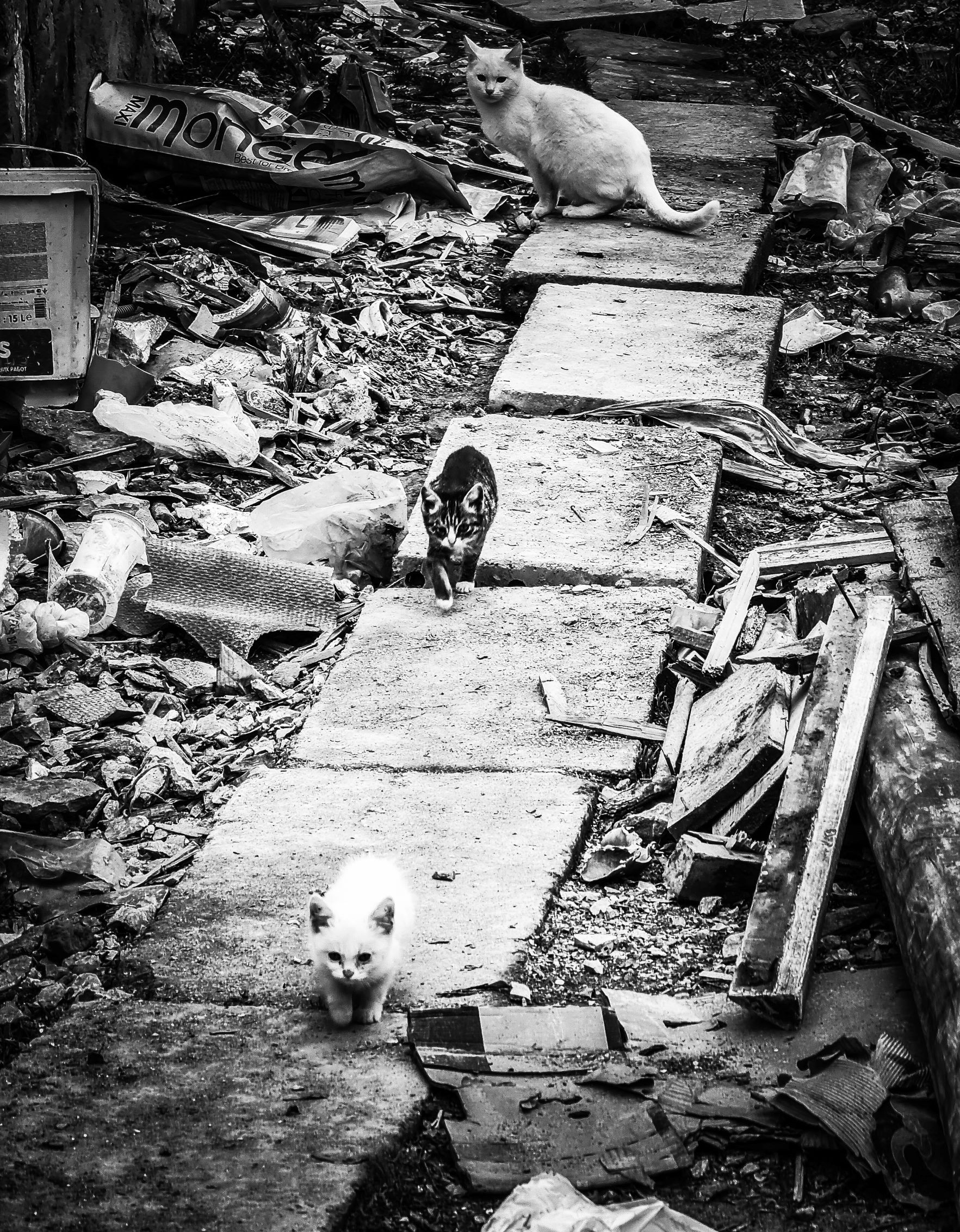 Սուրեն Սարումյան․ Պատերազմի միջով