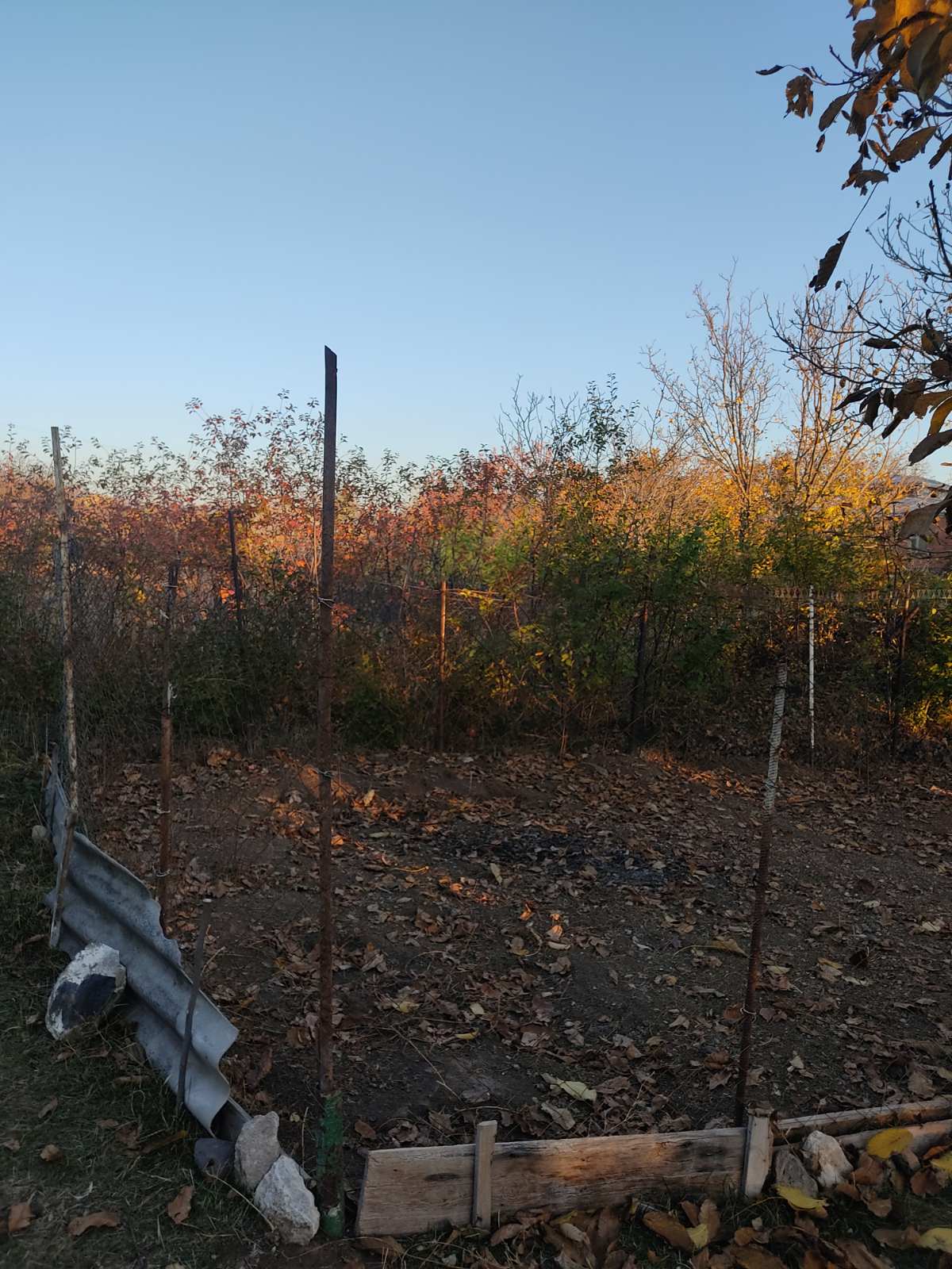 Աշունն Ալափարսում