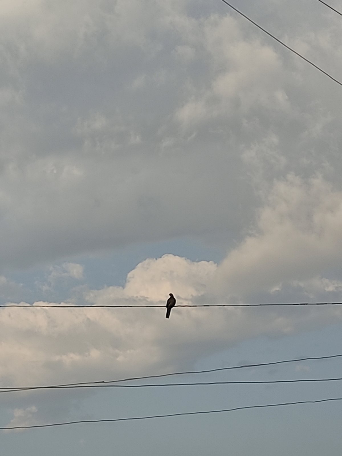 Լիլիա Շատվերյան․ Աշնան միջով (լուսանկարներ)