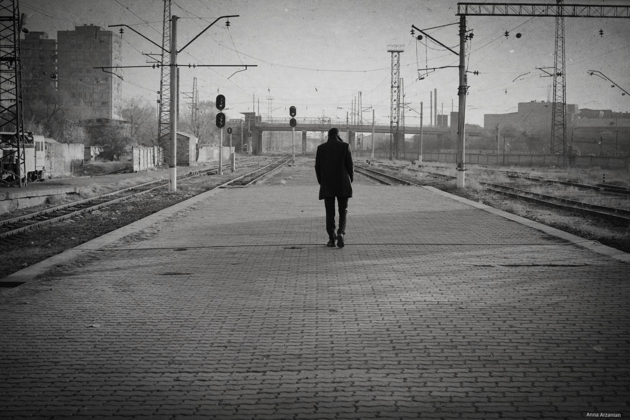 Դավիթ Սամվելյան․ Վի-վա