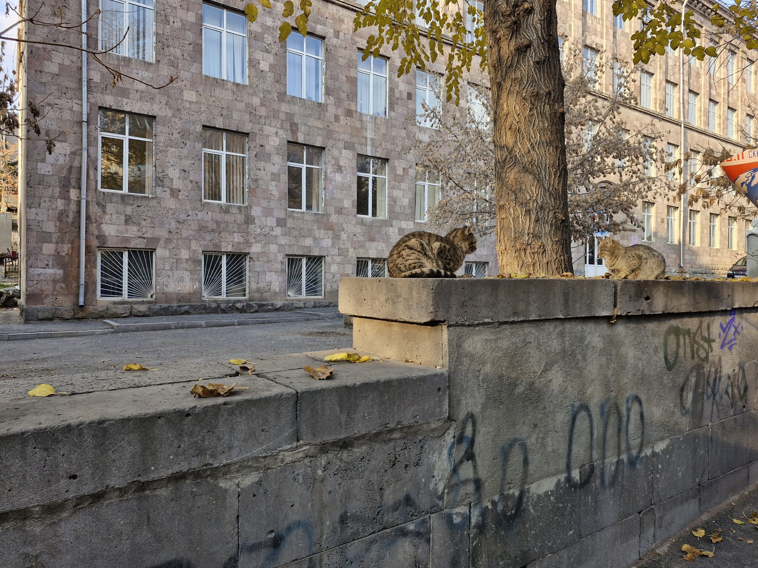 Երևանյան (լուսանկարներ)