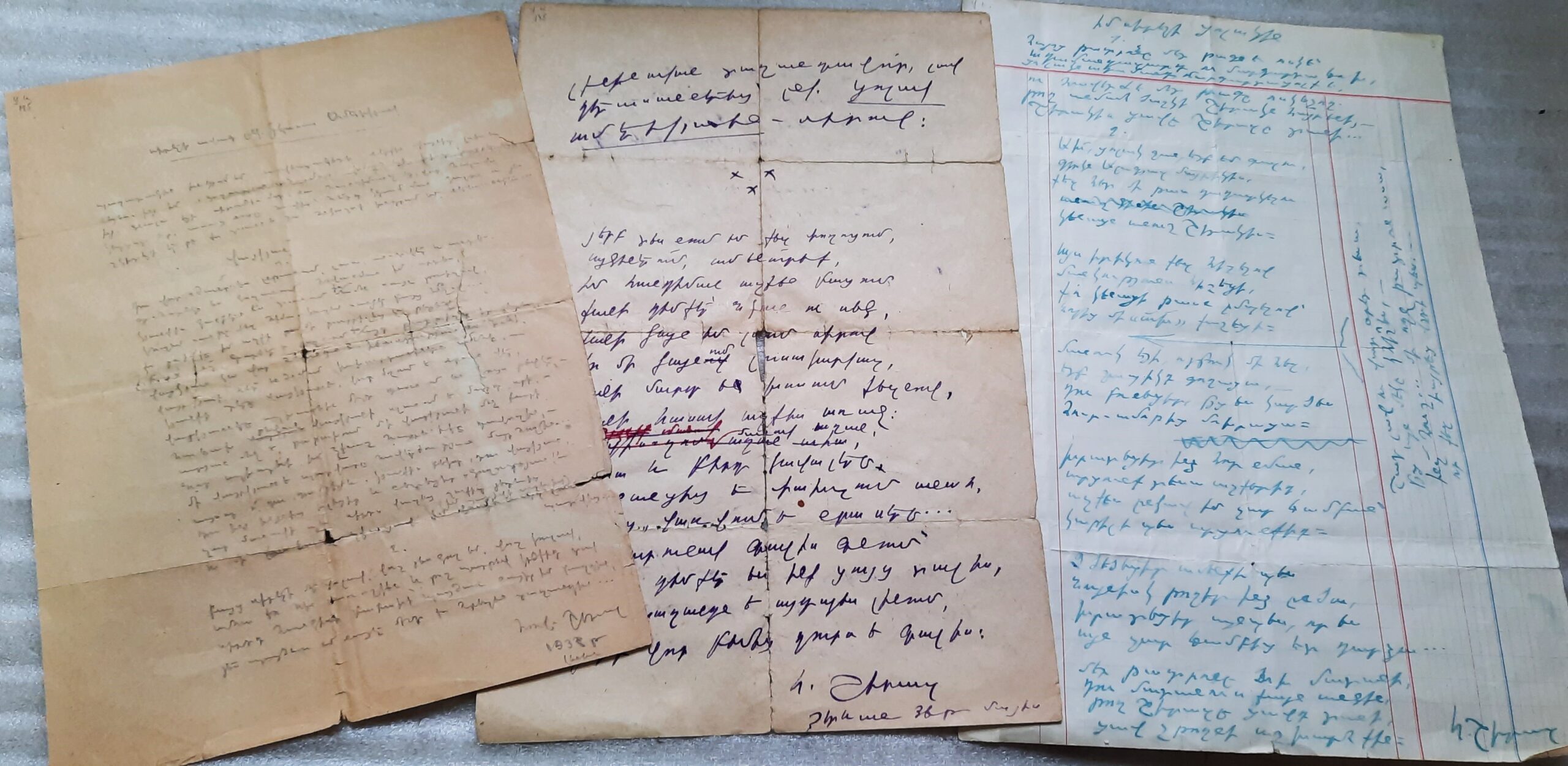 Վեհանձն Ցոլակ Ամերիկյան